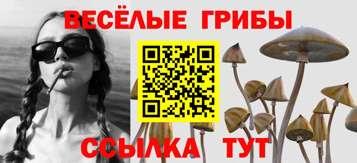 Галлюциногенные грибы GOLDEN TEACHER  Вход с VPN  Грозный 