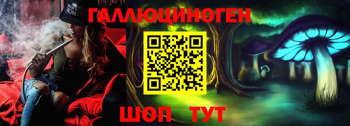 Псилоцибиновые грибы мицелий Грозный